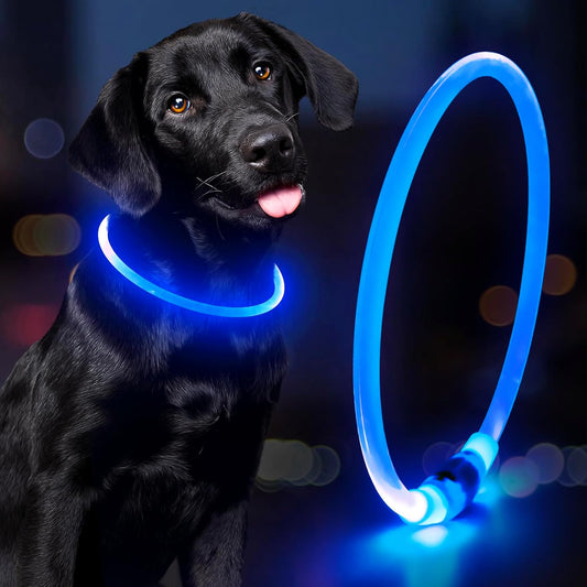 COLLIER LED POUR CHIEN