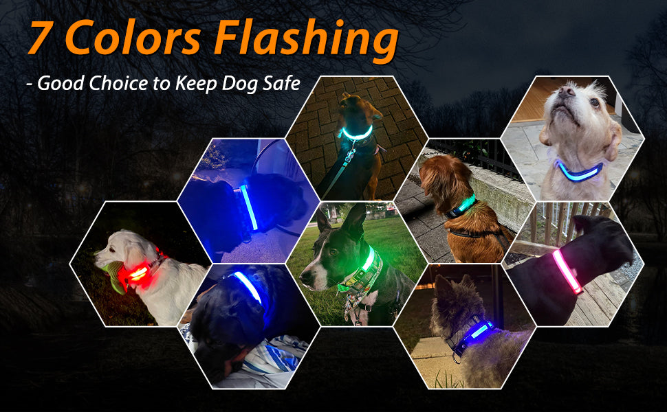 les Meilleures Sélections