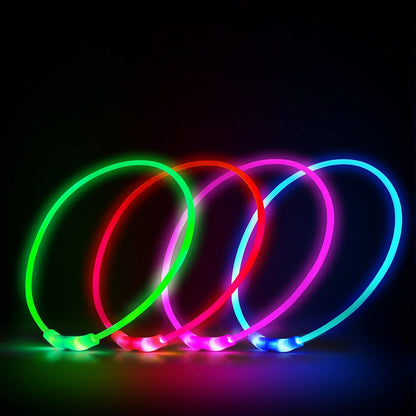 COLLIER LED POUR CHIEN