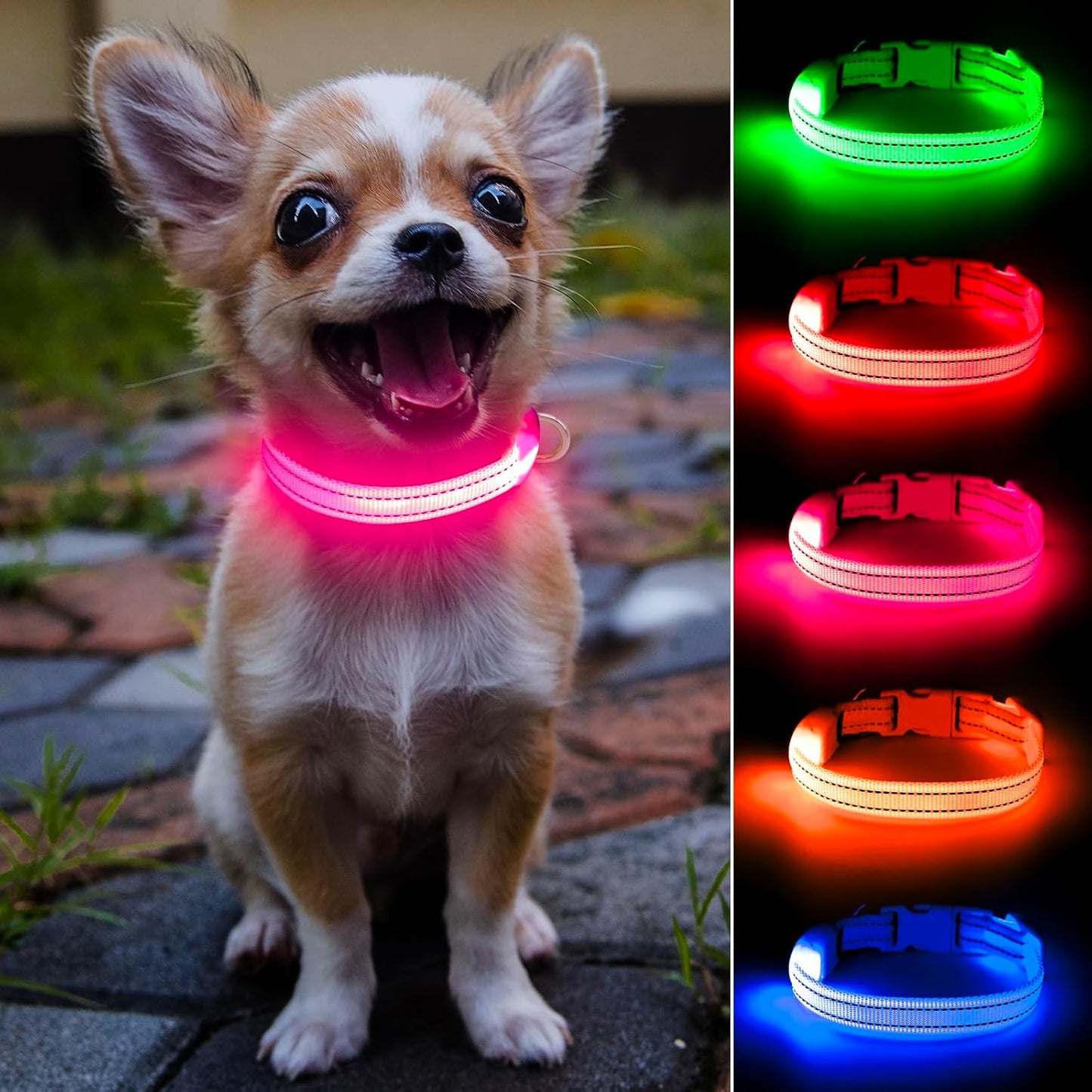COLLIER LED POUR CHIEN