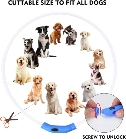 COLLIER LED POUR CHIEN