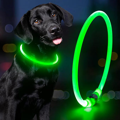COLLIER LED POUR CHIEN
